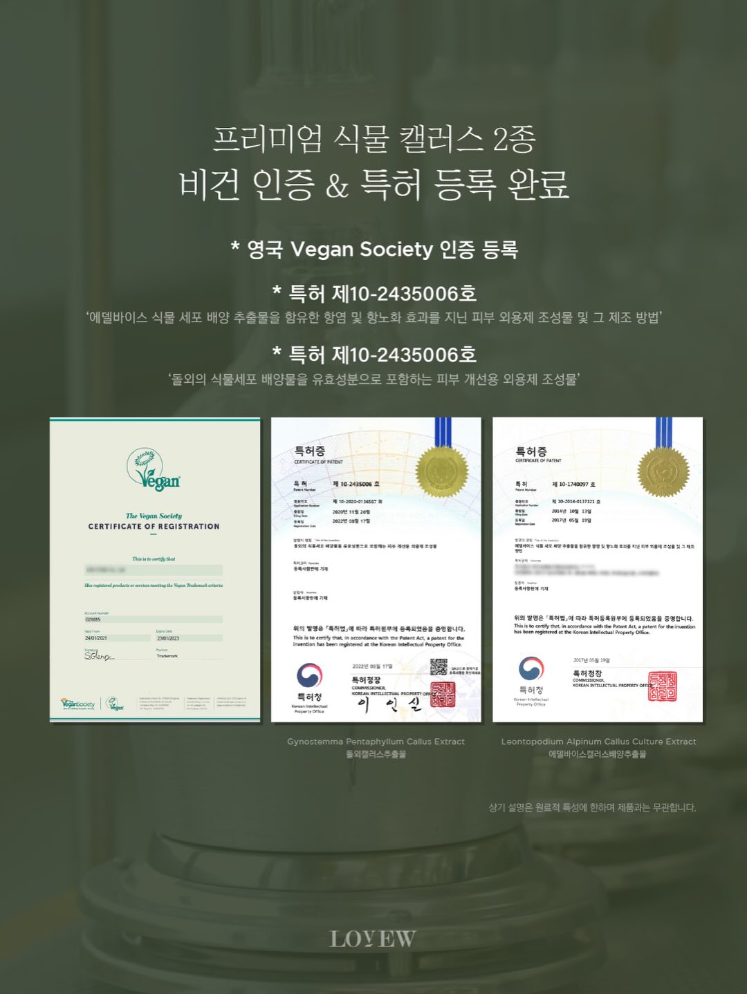 세멘팔트 팩 6