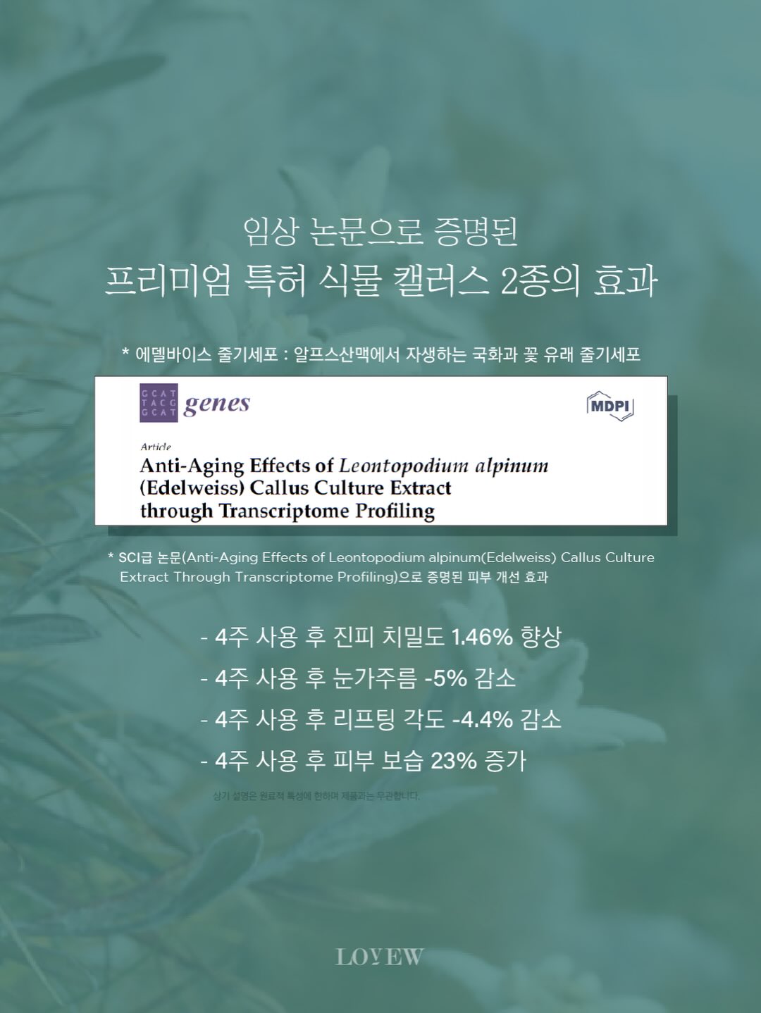 세멘팔트 팩 9