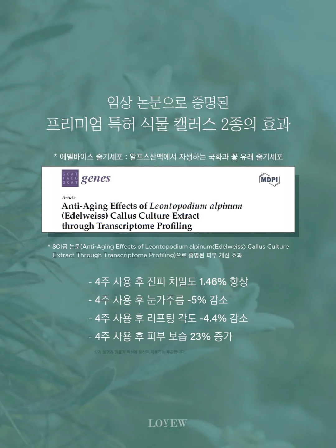 오리 키링 9