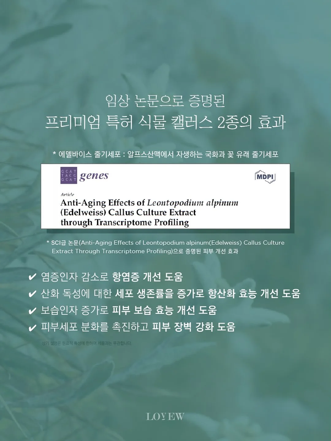 오리 키링 10