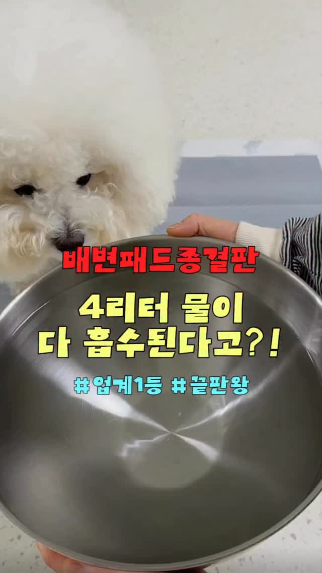 펄 글리터 아이폰 케이스