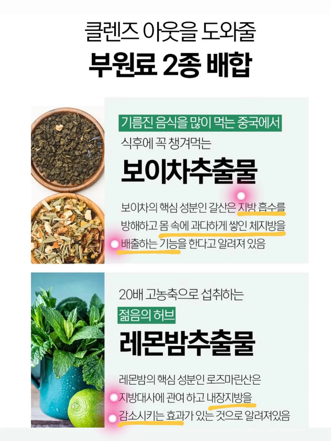 블루베리 3