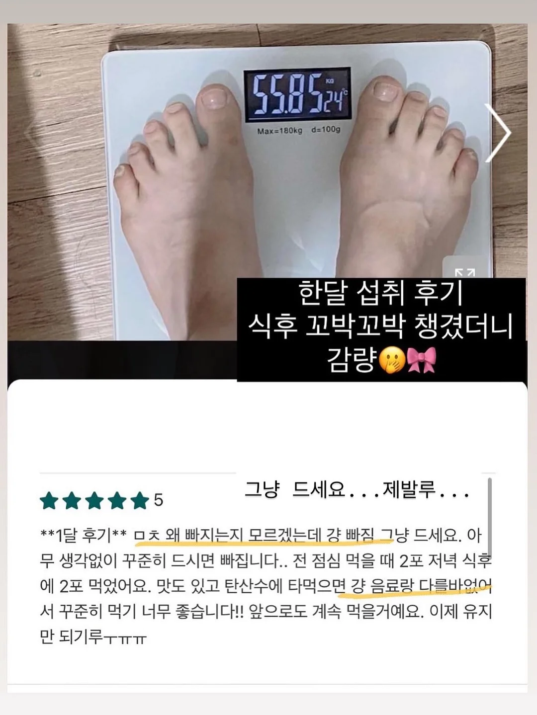 블루베리 6