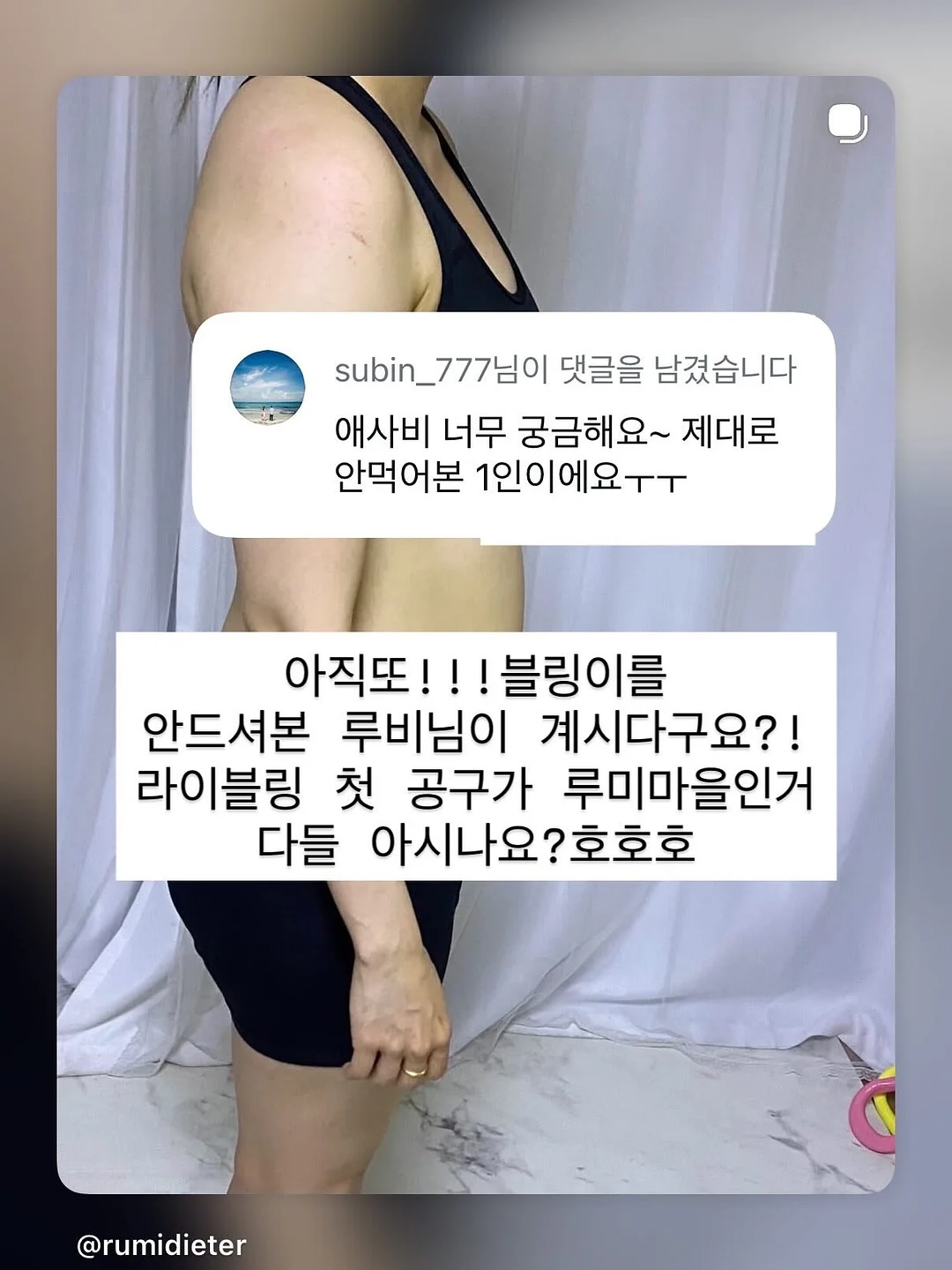 블루베리 9