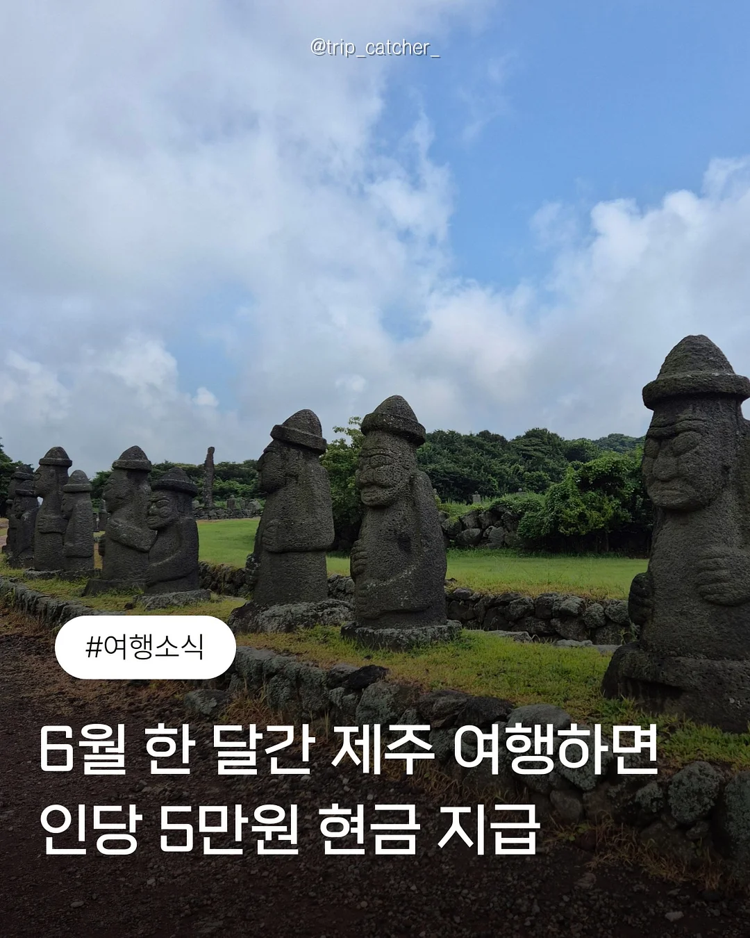 운동 지원금 신청