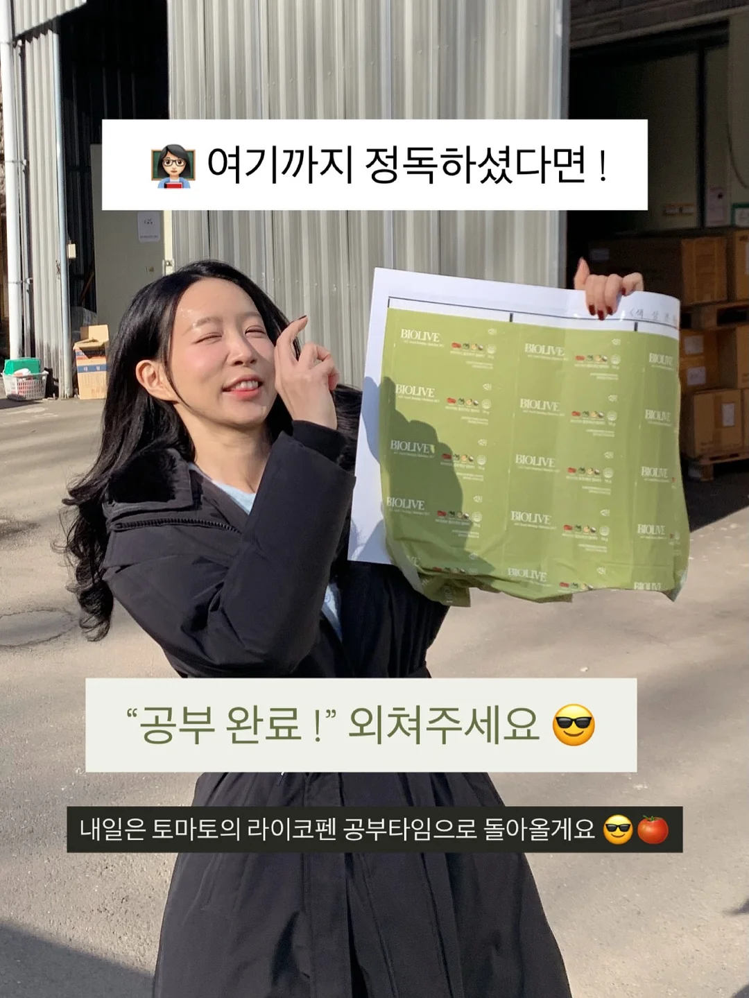철사 결속 소켓 19