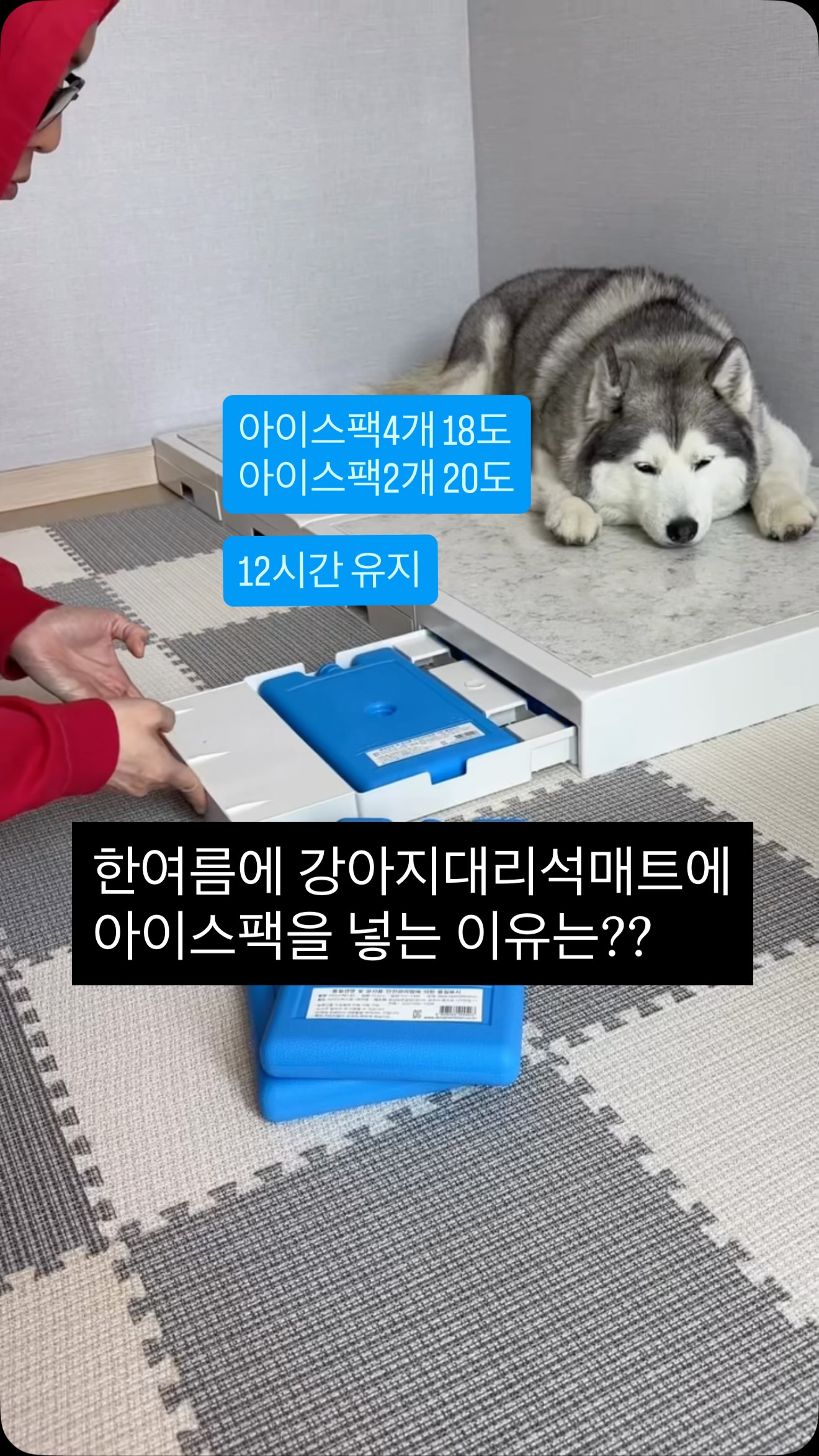 리본 우드 블라인드