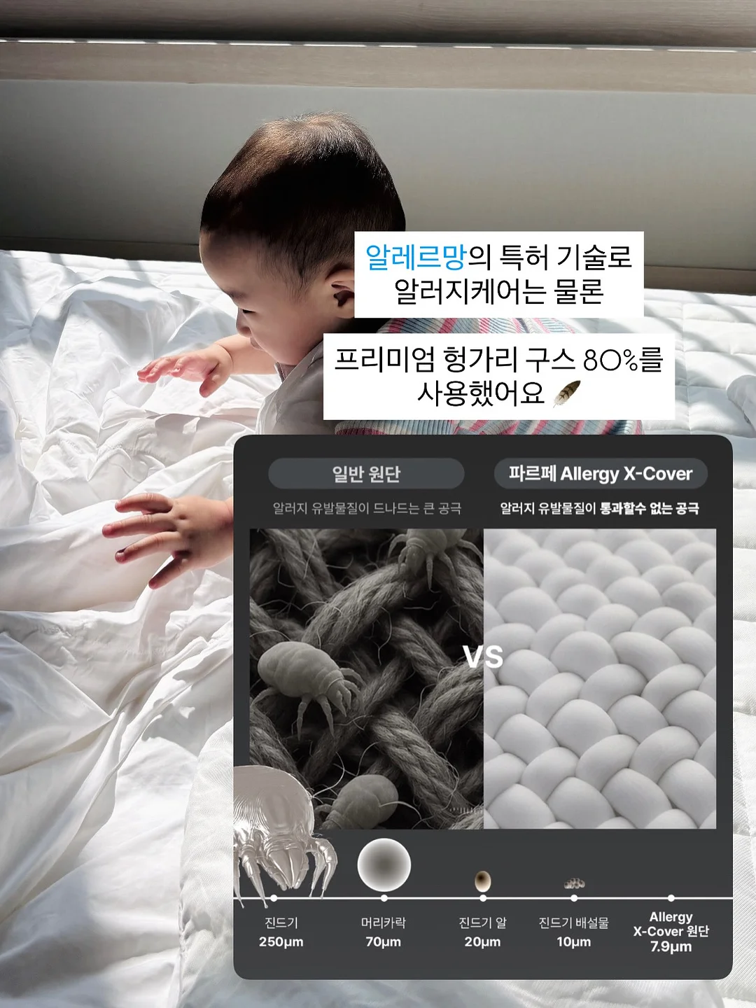 마이유럽 세미패키지 4