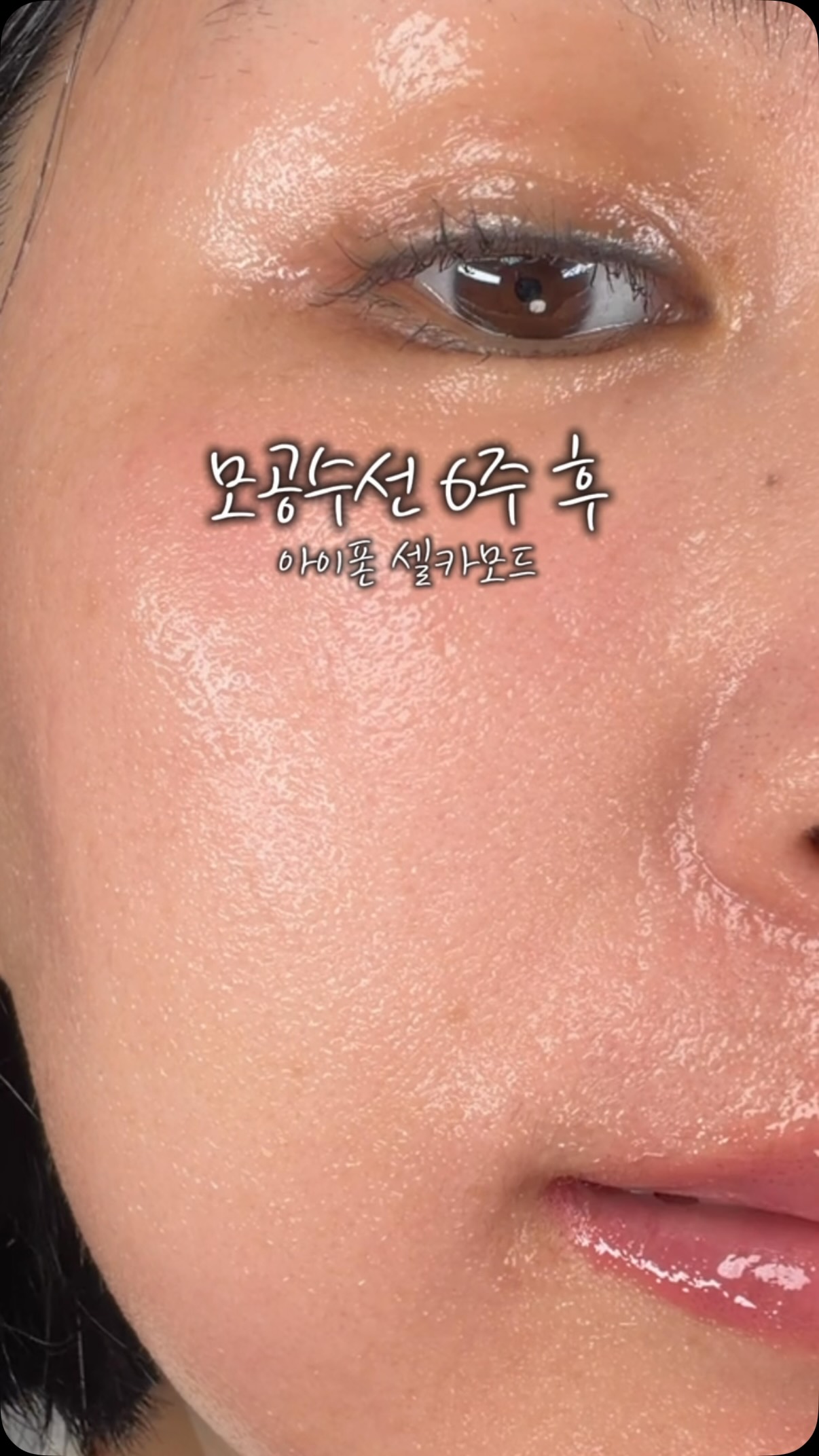 나뭇잎 모양 식권