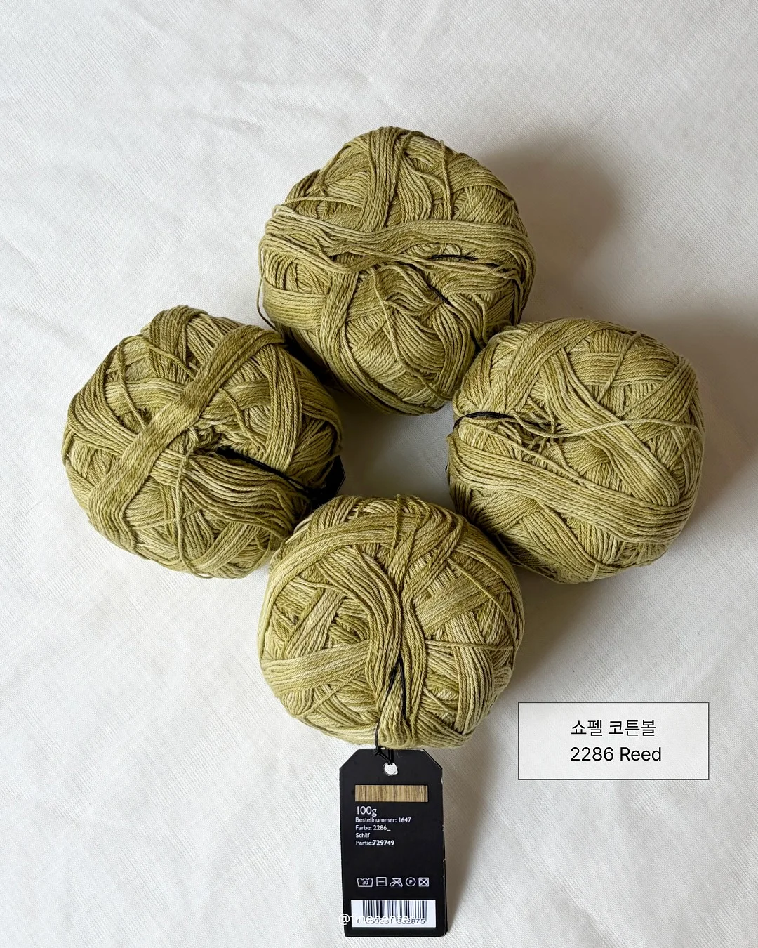 남자라면 컵 6