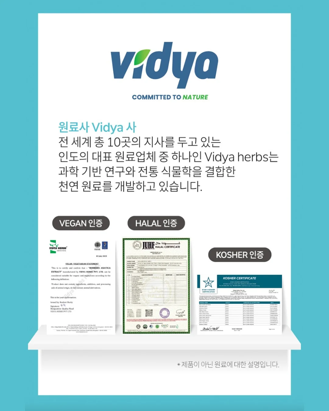 네이비팬츠 8