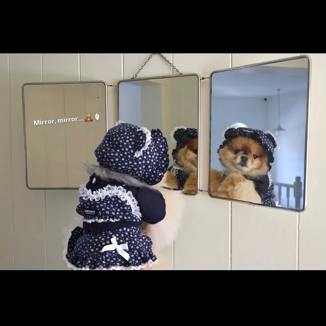 시어서커 침구류 12