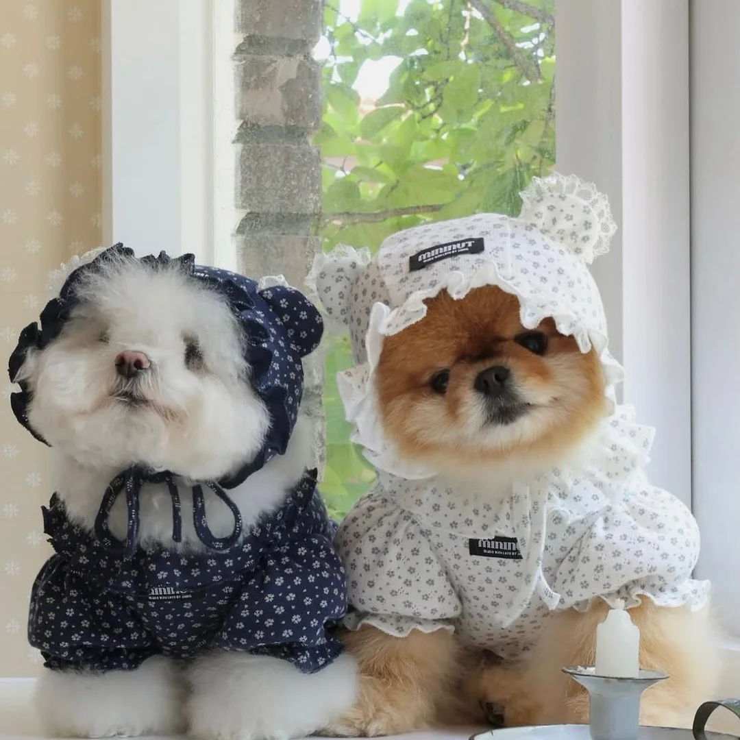 시어서커 침구류 14