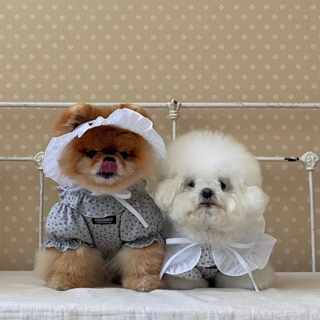 시어서커 침구류 8