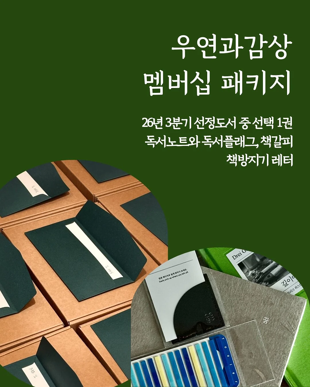 오분컷 셋업 6