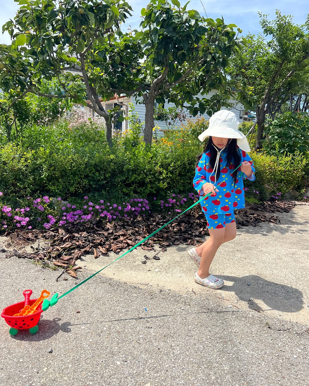 바오바오 백 13