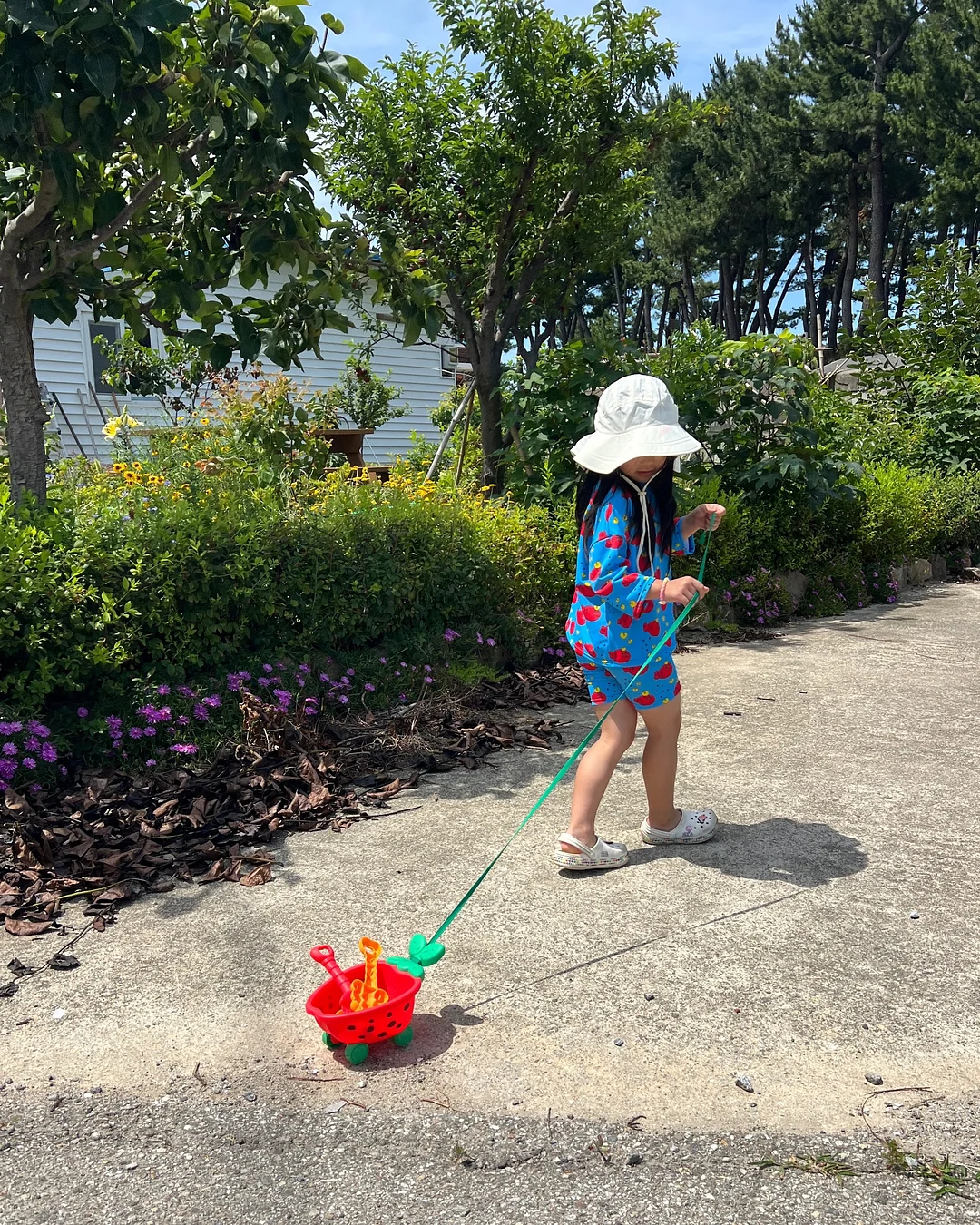 바오바오 백 14