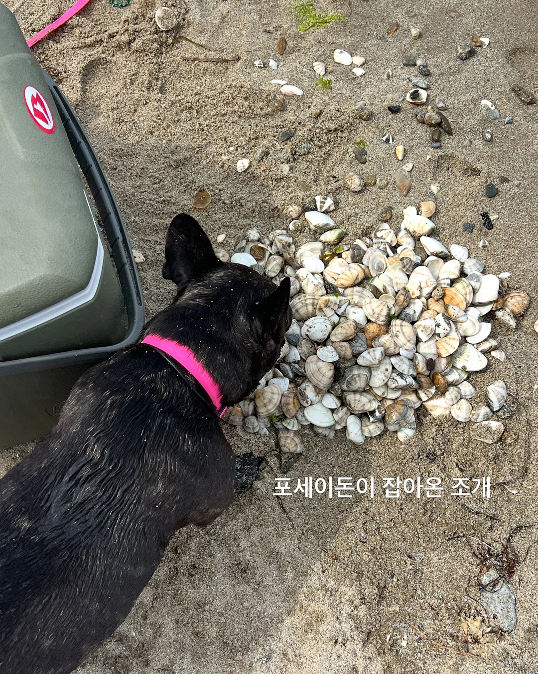 바오바오 백 18