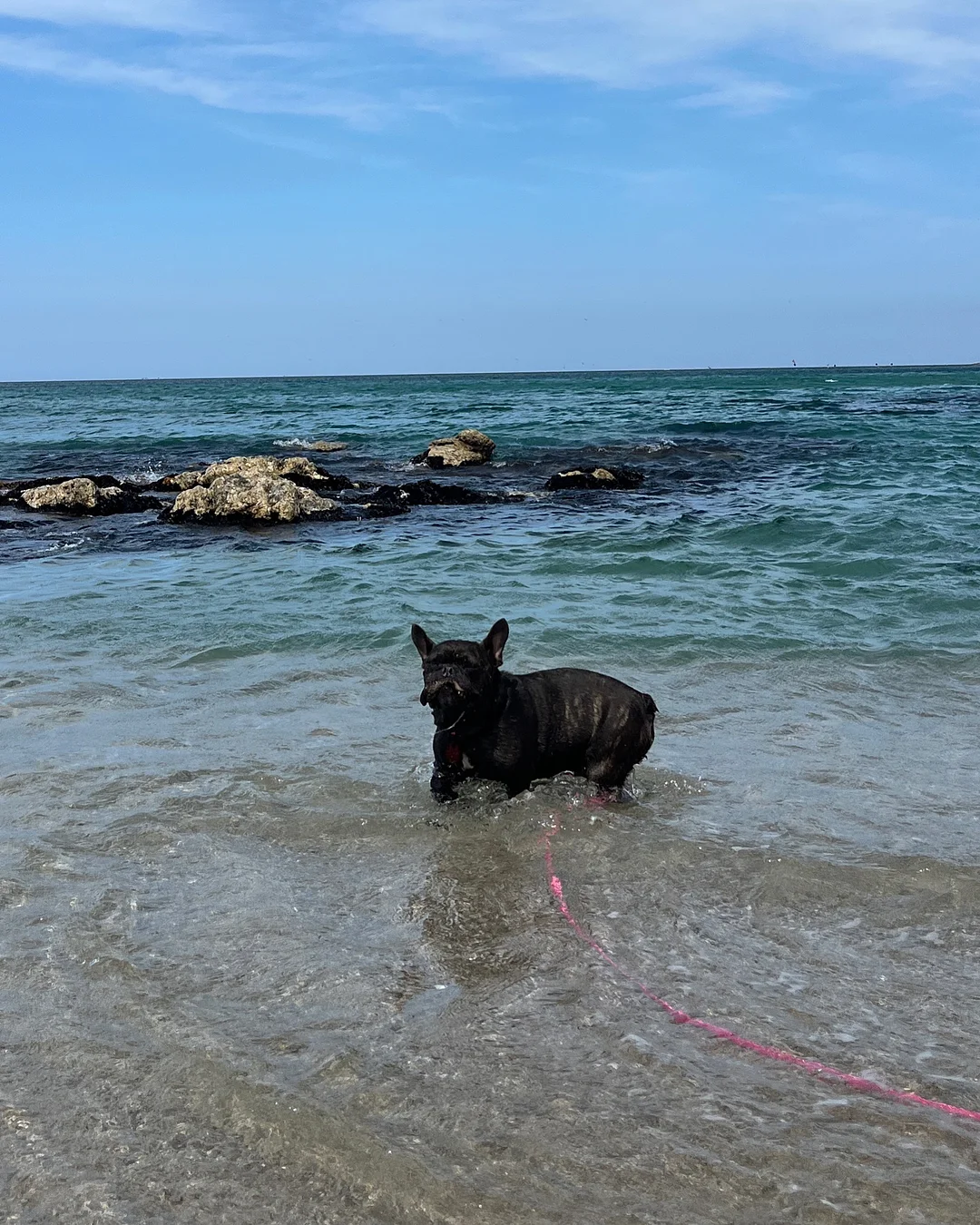 바오바오 백 6