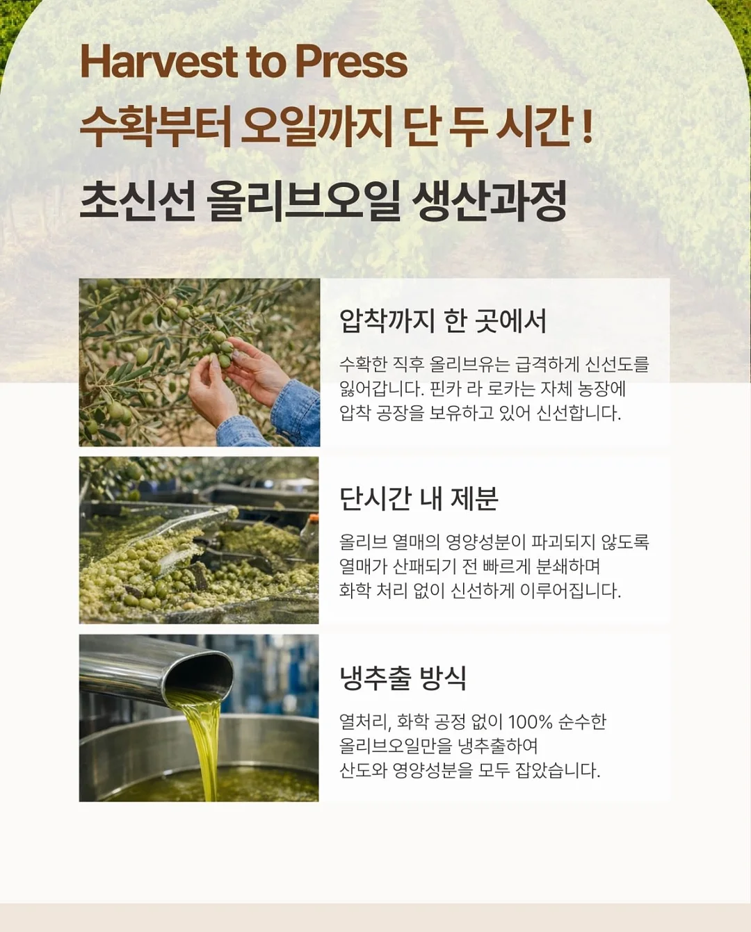 홀리추얼 블루 PDRN 앰플 15