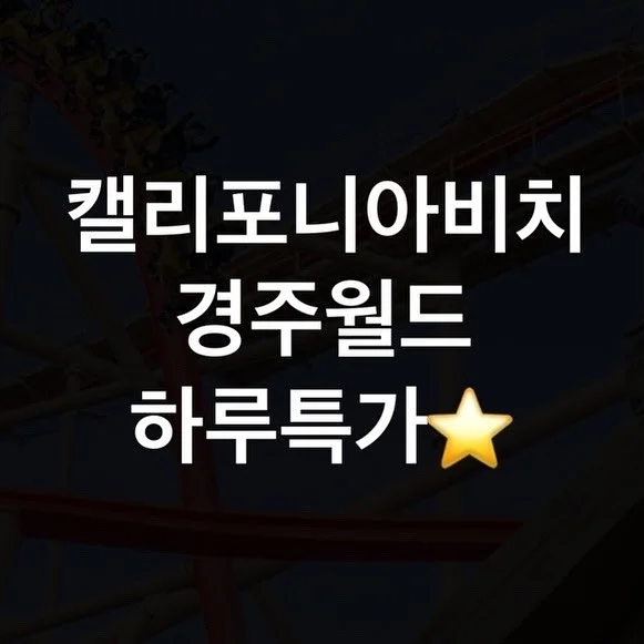 보그 입문 수업