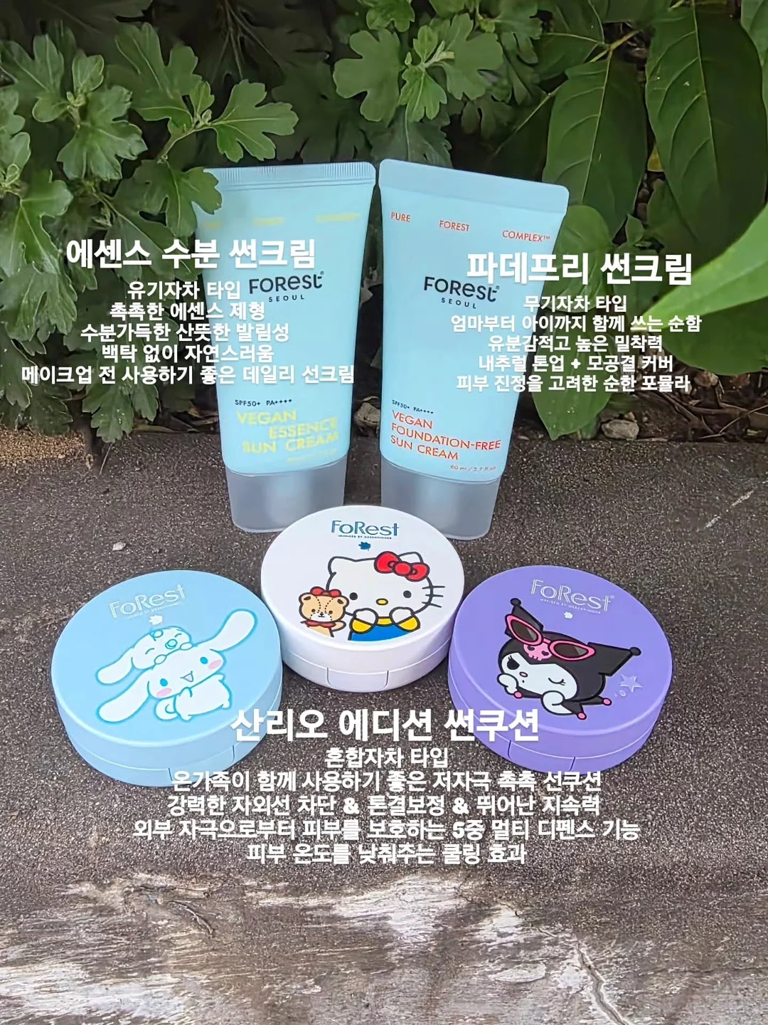 몬치치 지갑 8