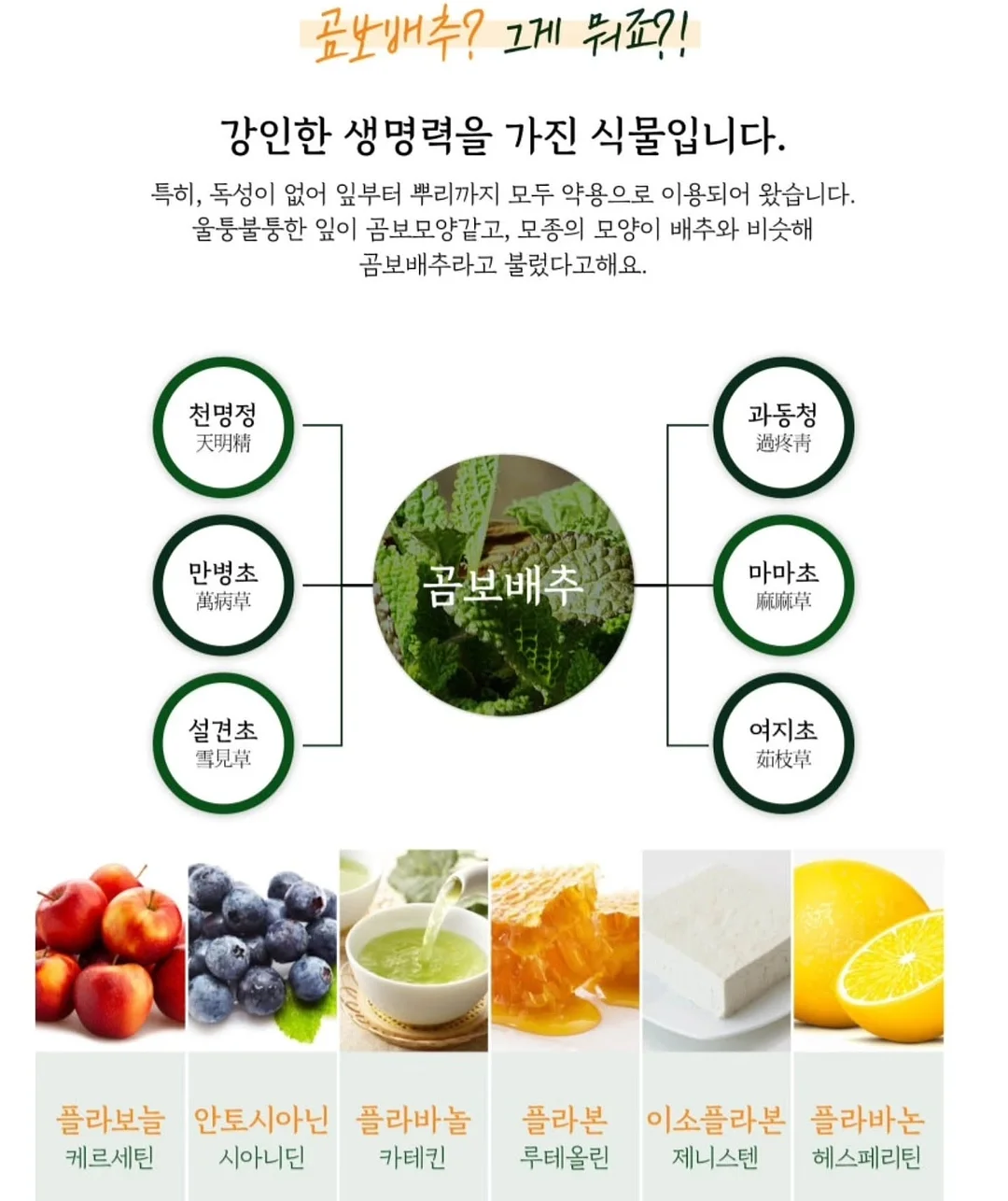 리틀피기 3