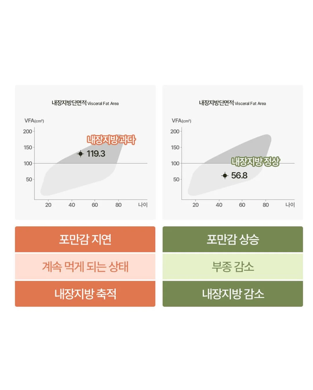 액자 하바리움, 로즈링홀더, 링홀더s 12
