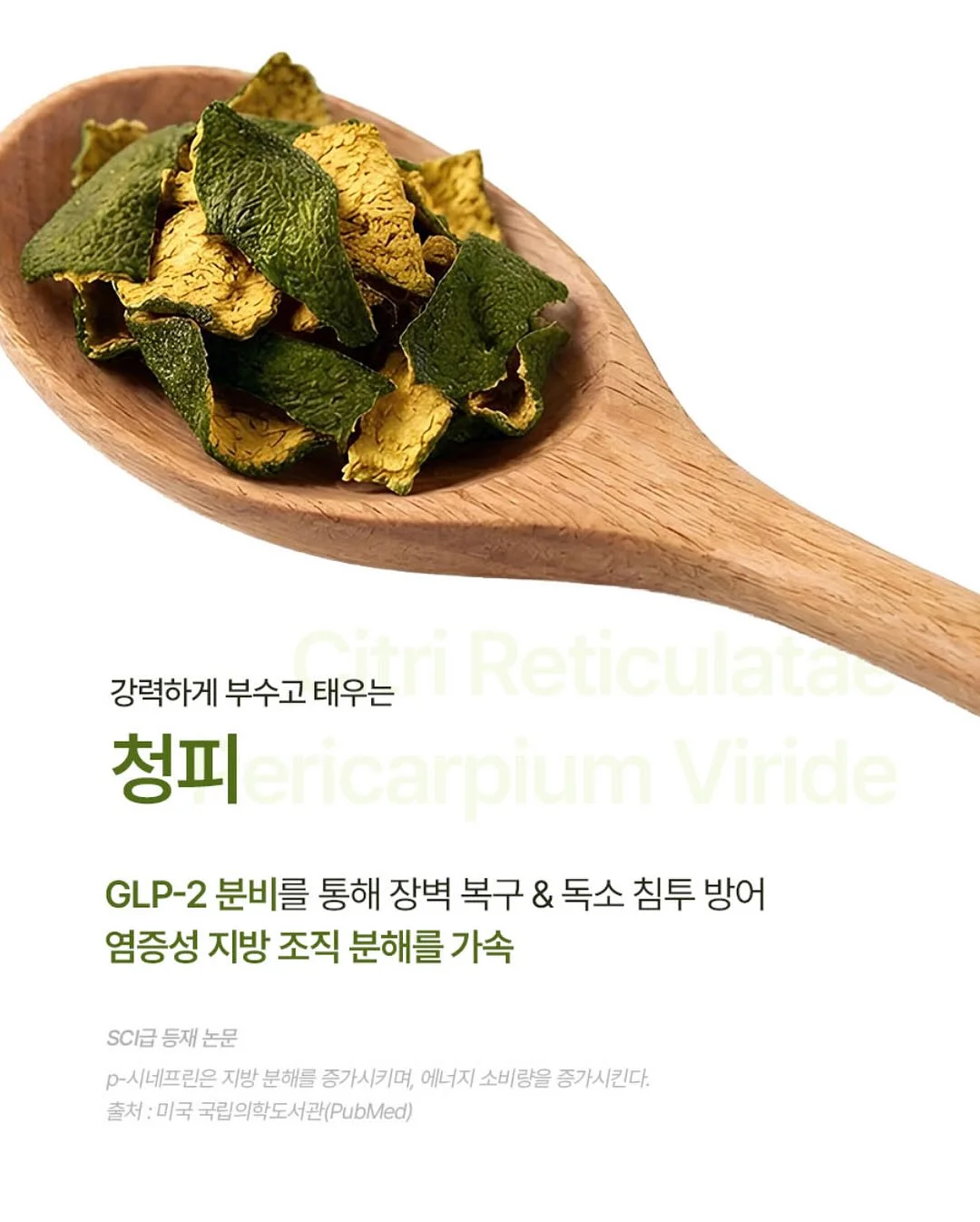 액자 하바리움, 로즈링홀더, 링홀더s 18