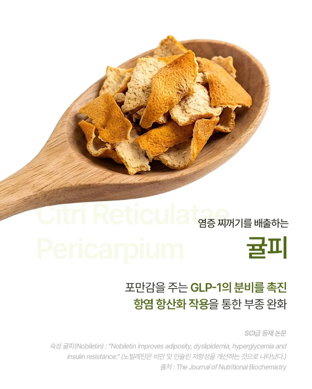 액자 하바리움, 로즈링홀더, 링홀더s 19