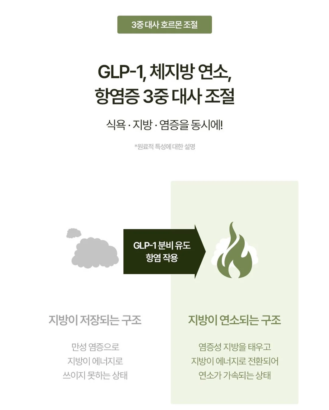 액자 하바리움, 로즈링홀더, 링홀더s 20