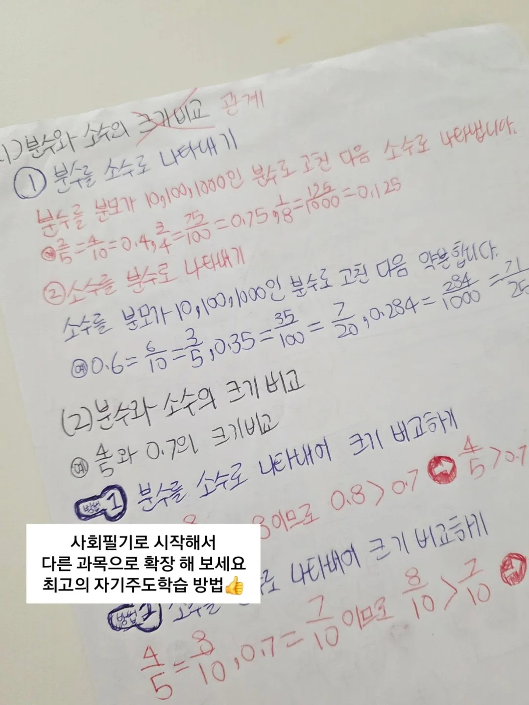 바이탈블랜트 롤팬 오리지널 4