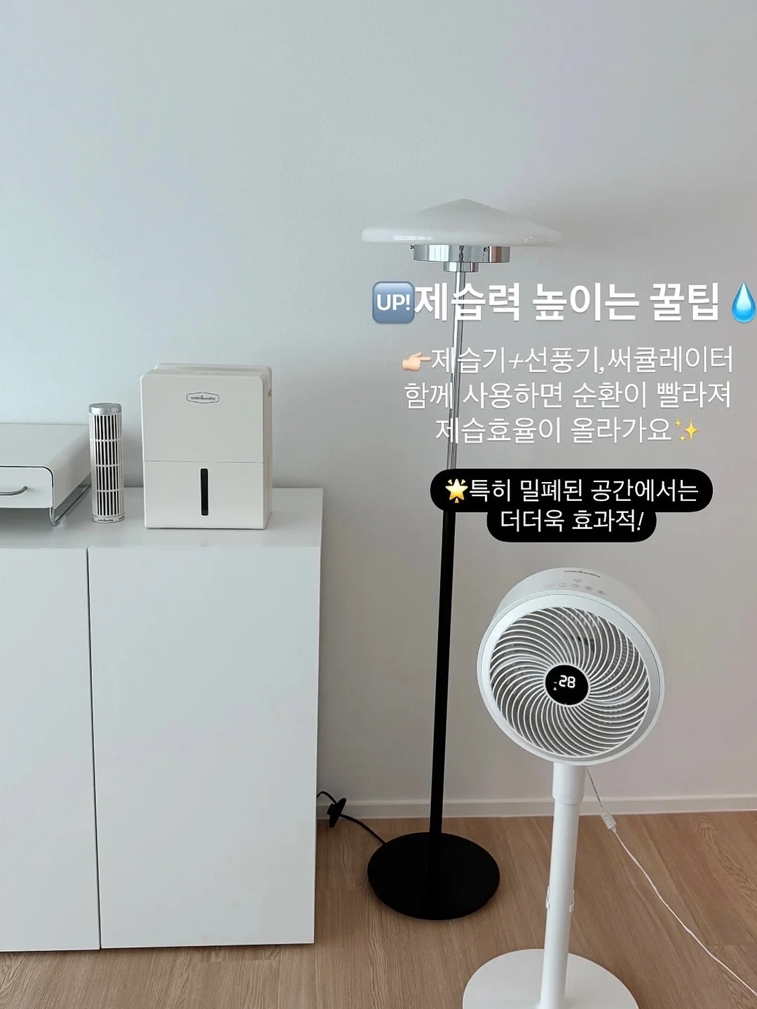 오이코스 테리 밴딩 누빔베개패드 4