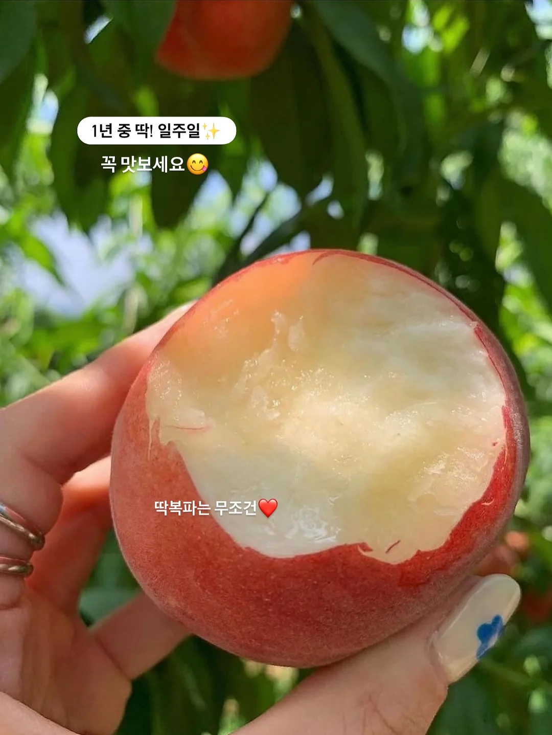 플라워 디테일 여름 샌들 4