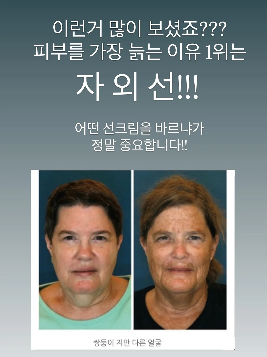블러셔 2