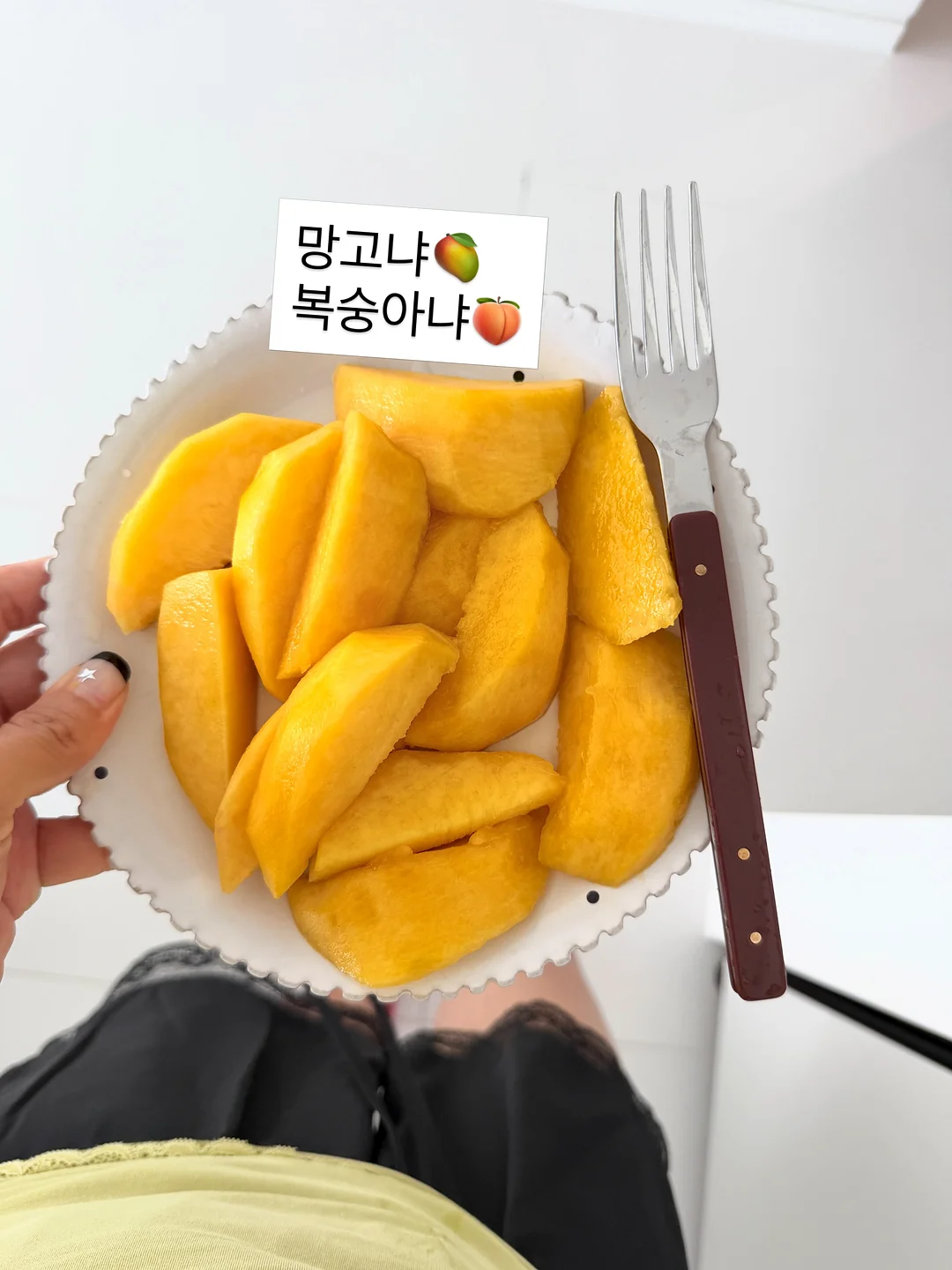실리콘 수세미 6