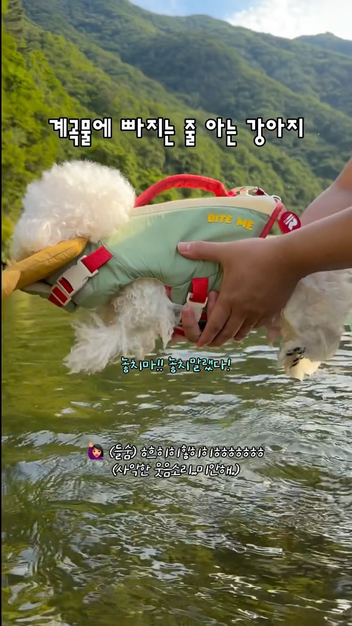 올댓프룻 청송 사과즙