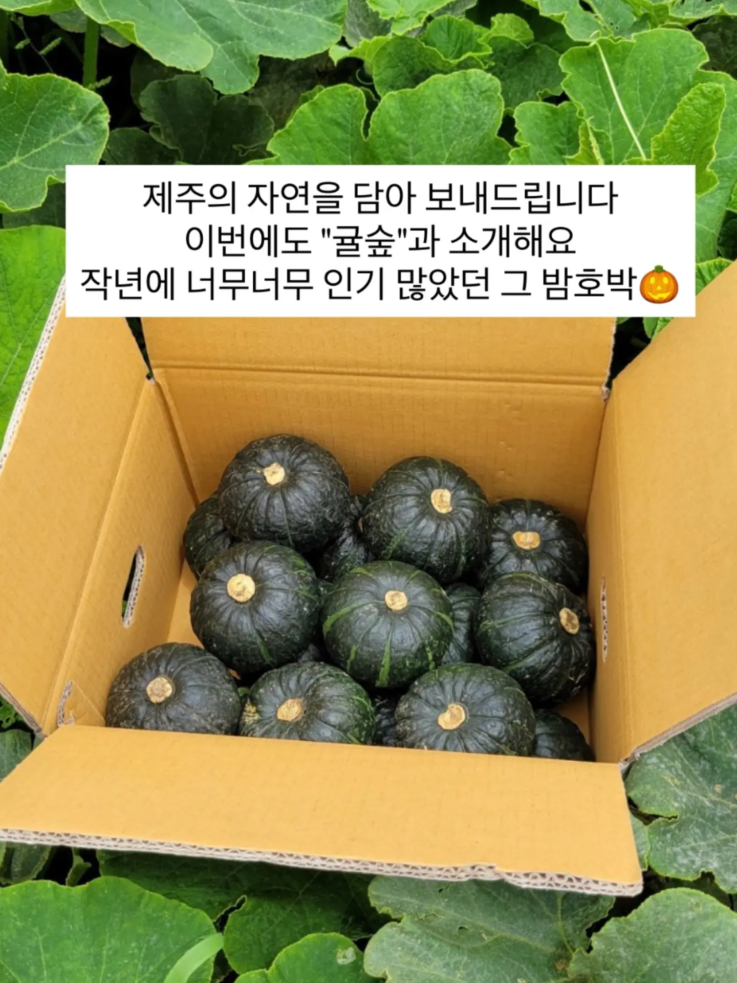 찢청 데님 3