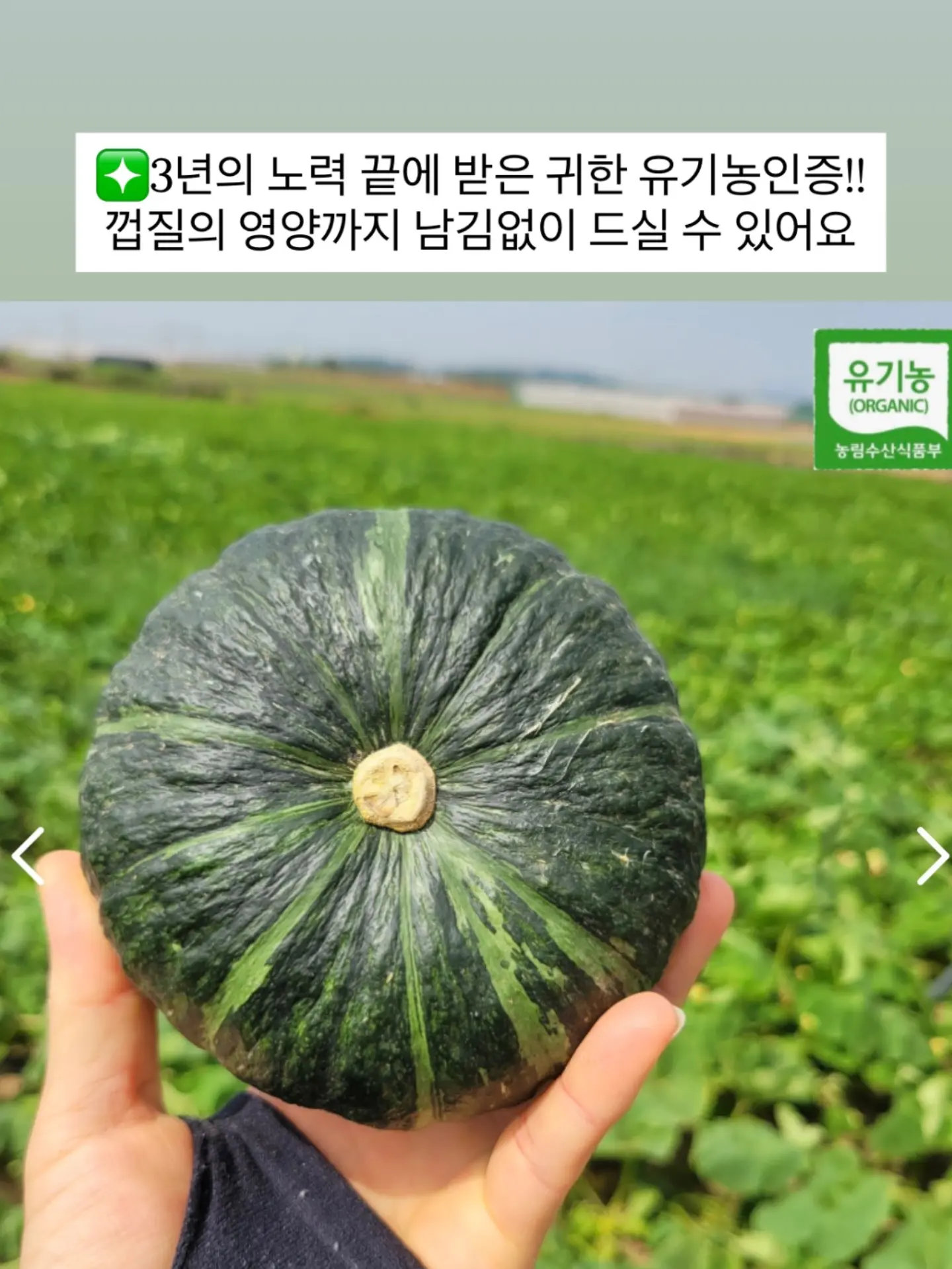 찢청 데님 6