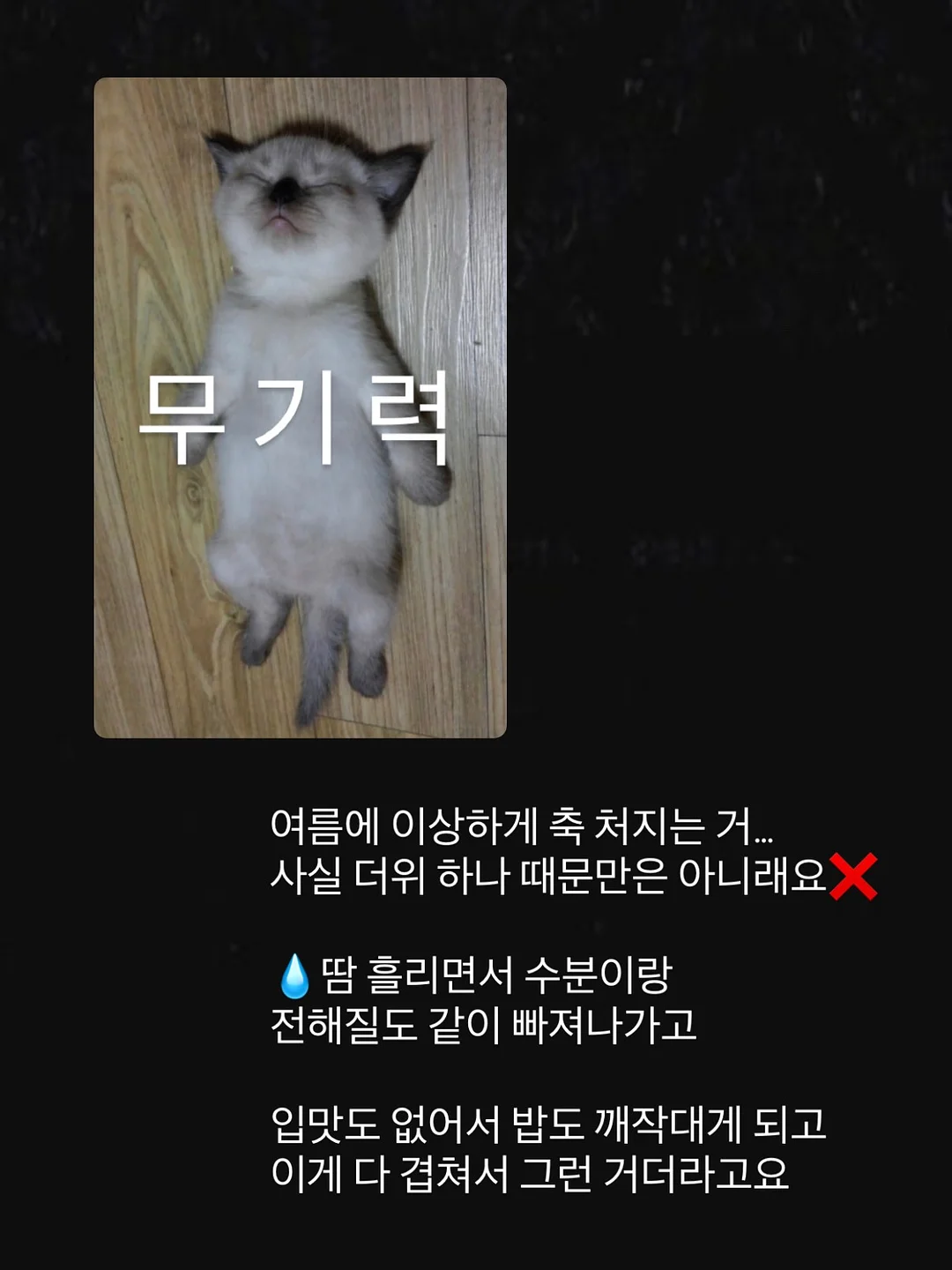 휴대용 온수기 3