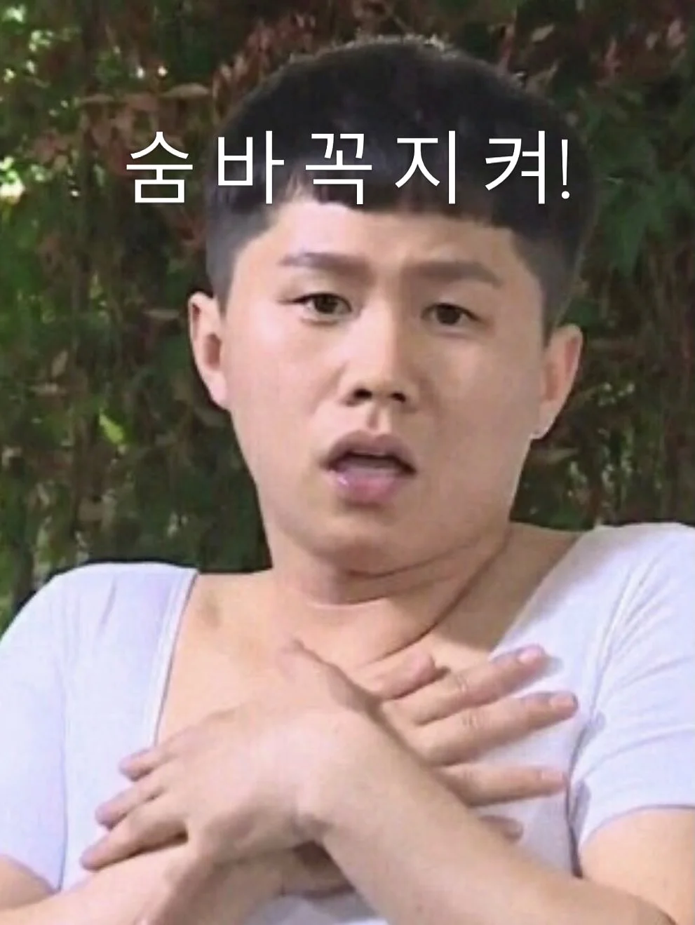 신상 6