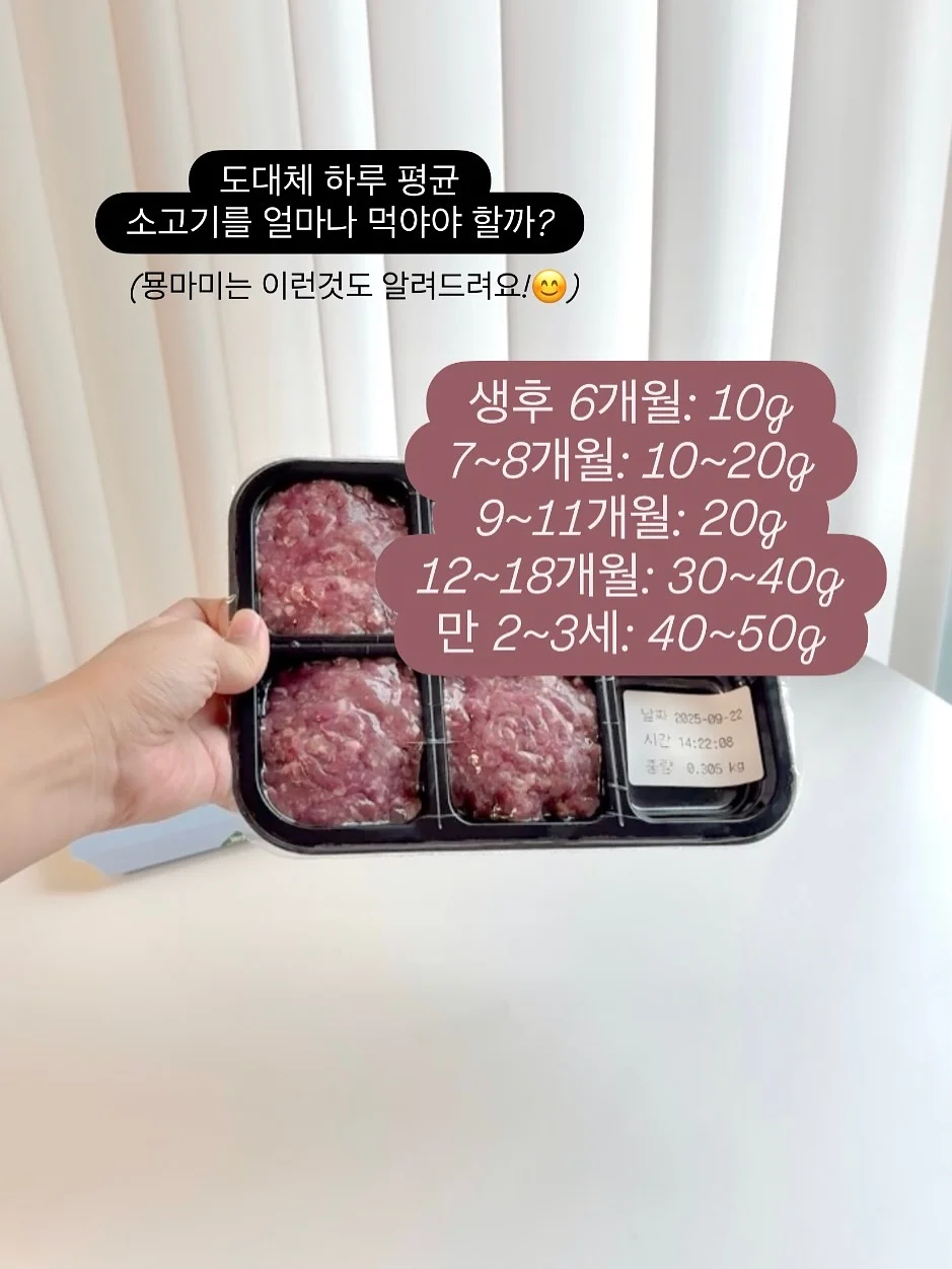 카고컨테이너 무선 선풍기 2