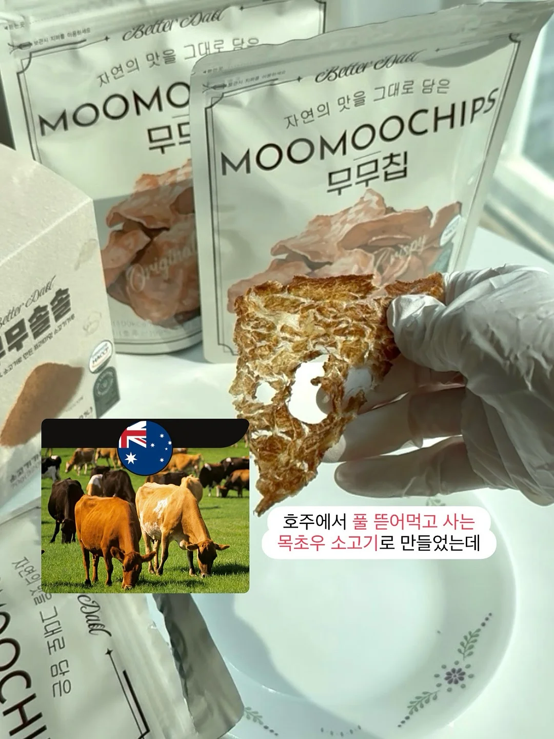 카고컨테이너 무선 선풍기 7
