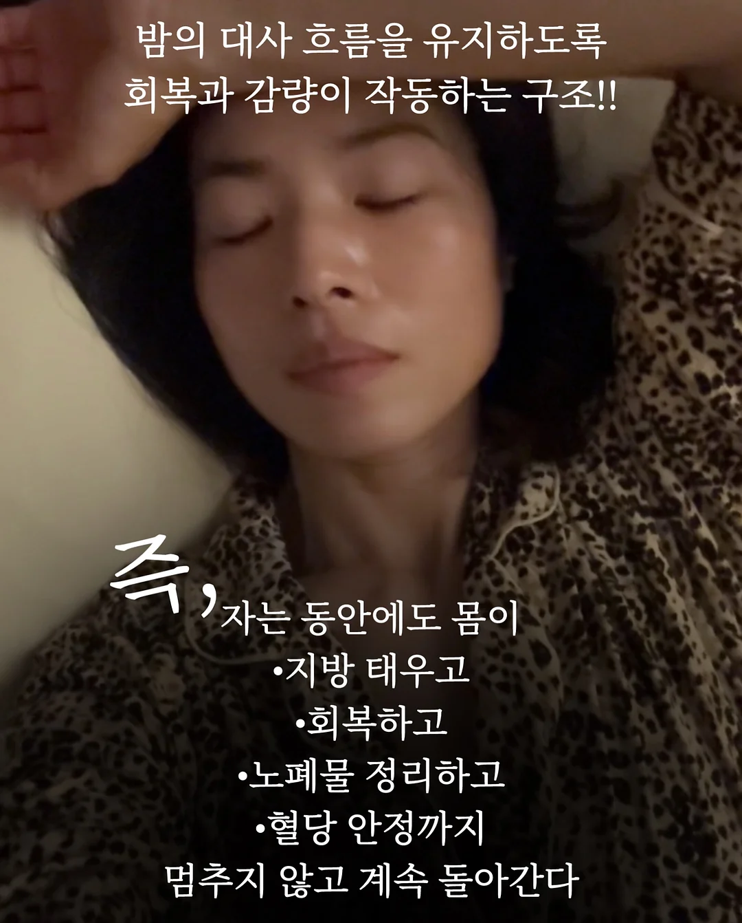 돗자리 7