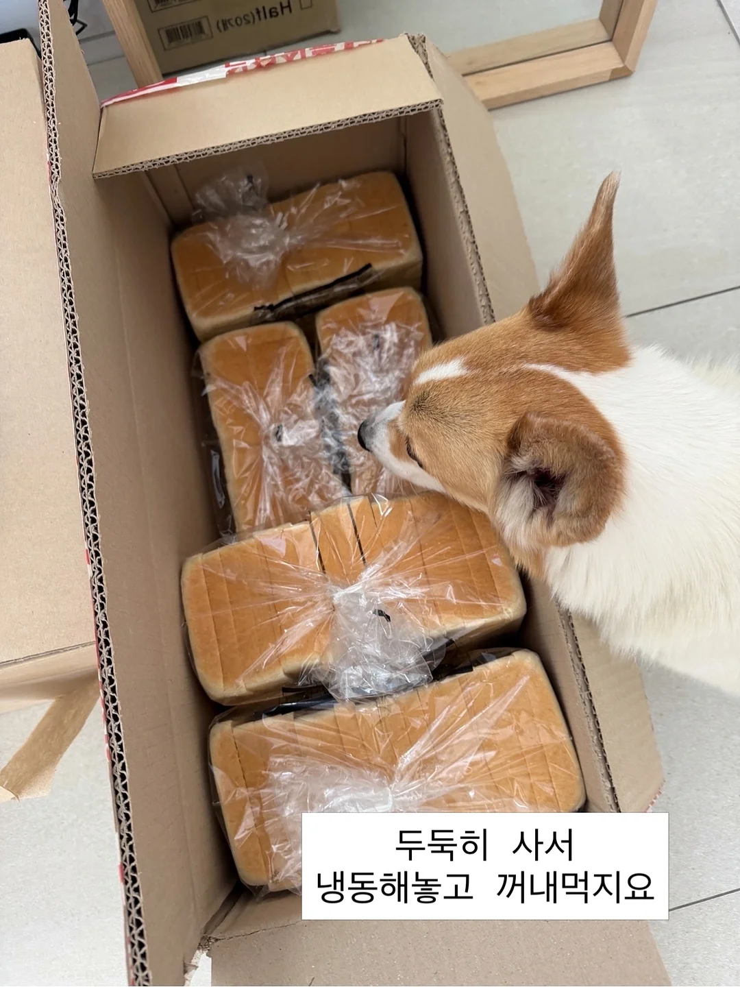 다온해풀빌라 복층풀빌라 14