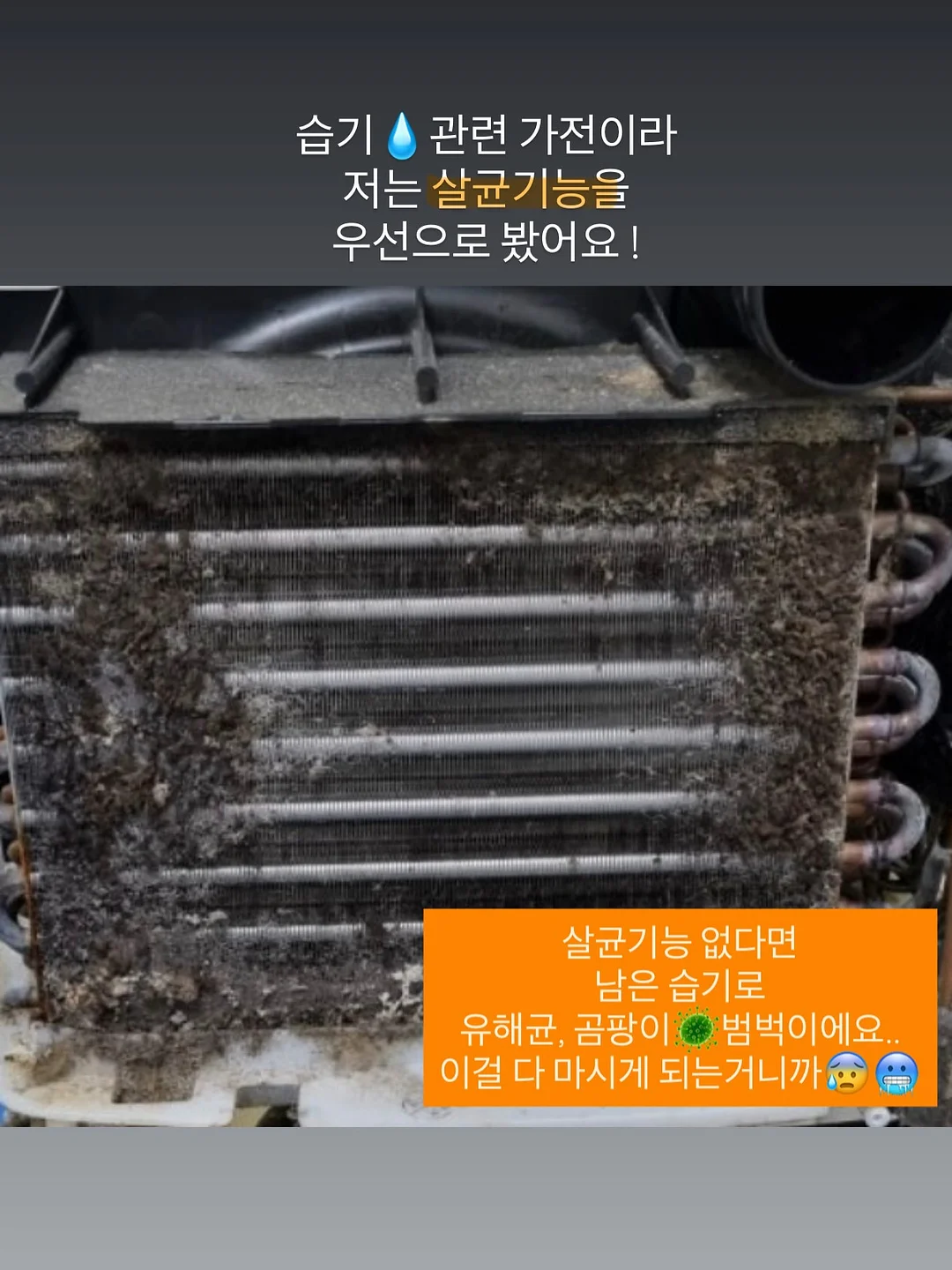 Brunch Brother 모그리 계산기 11