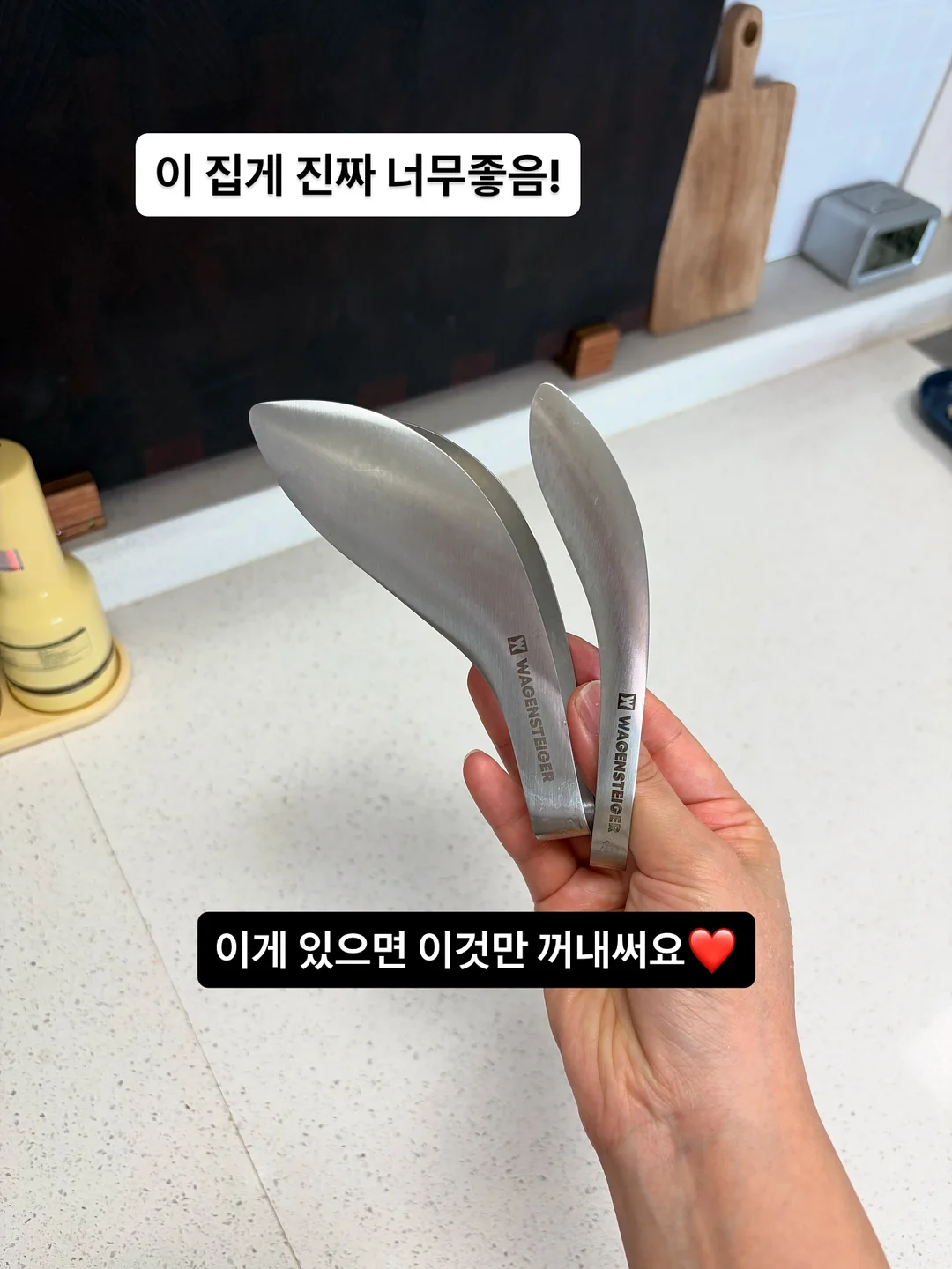뮤에르NT 5