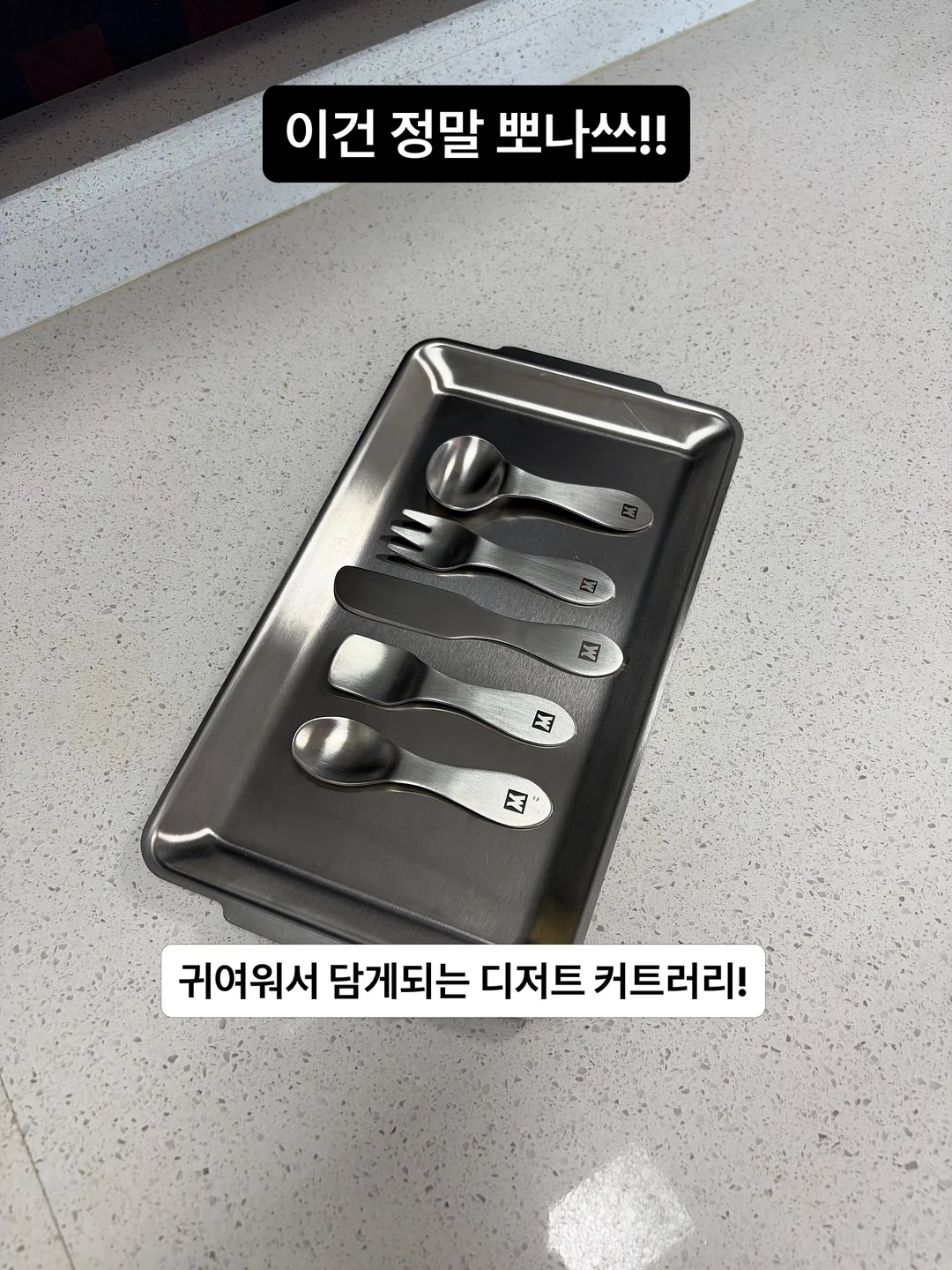 뮤에르NT 10
