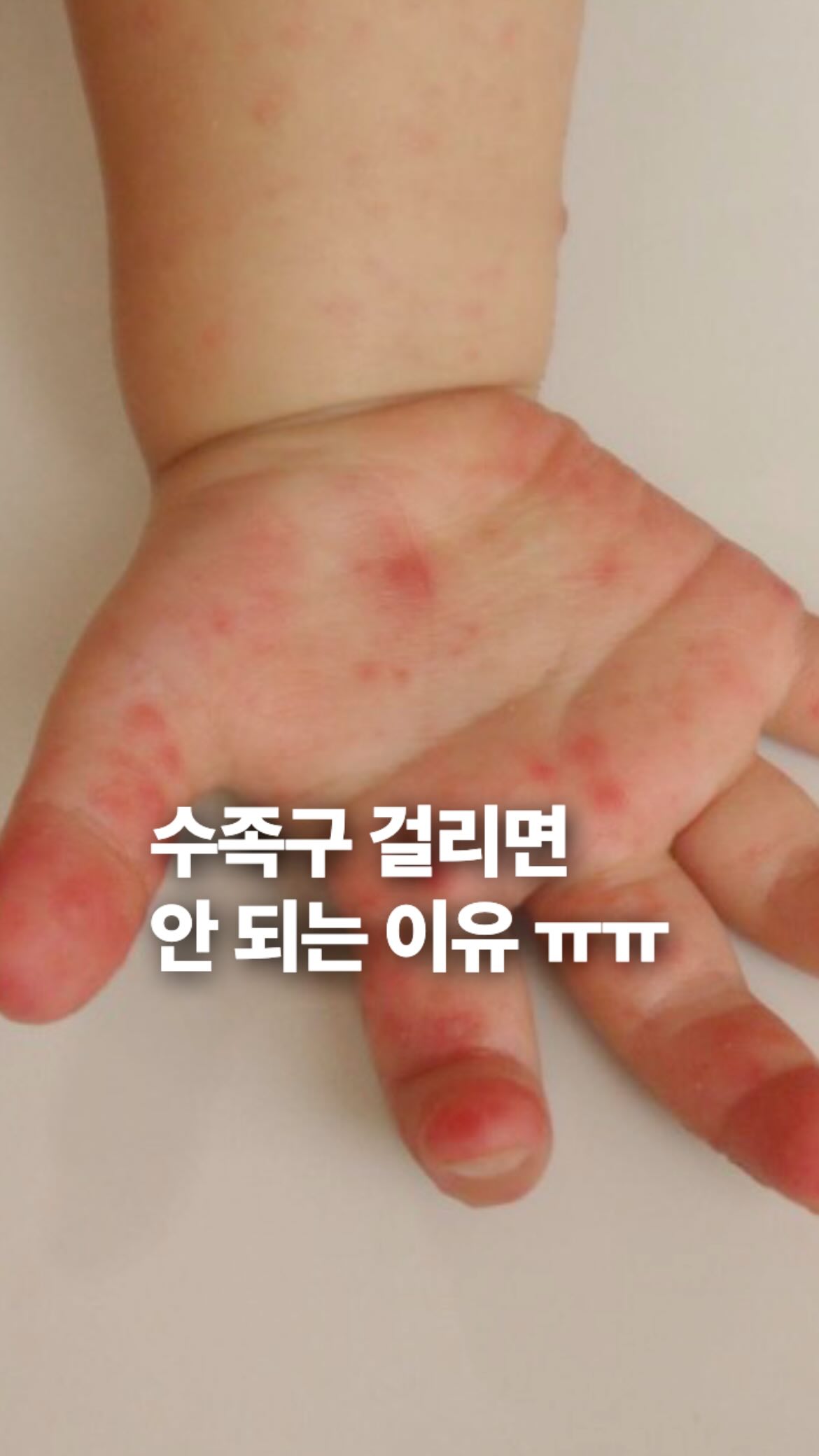 김나영 최애백