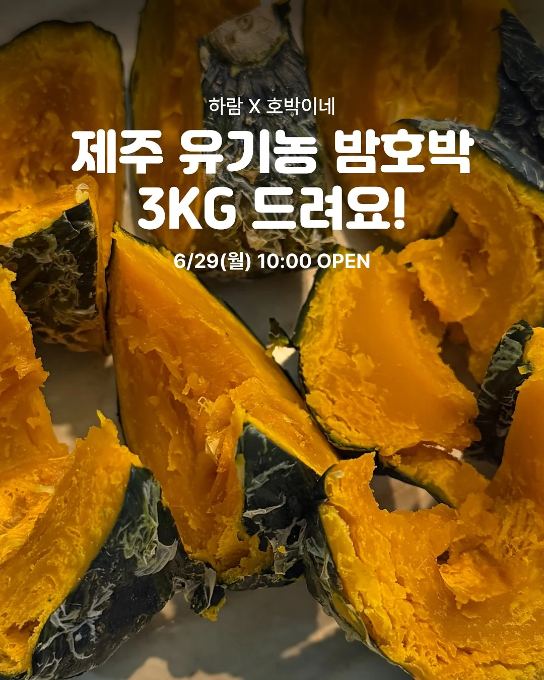 거제식물원 원데이클래스 1